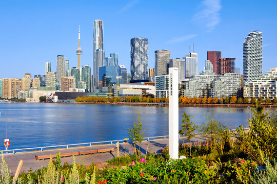 Toronto skyline photographed from Biidaasige Park at sunrise with garden in foreground 