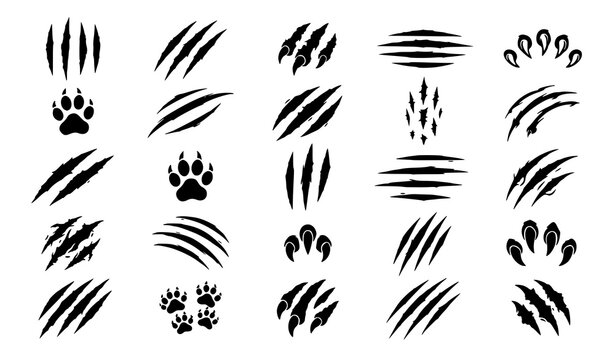 Wild Animal Claw Marks and Scratch Silhouettes Vector Collection