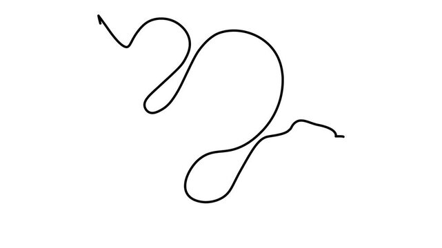 Self-drawing one-line animation of snake, created with a single continuous hand-drawn contour line of art motion graphics.