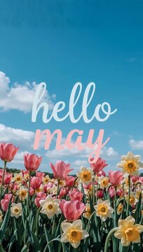 Poster card spring text lettering Hello May on romantic bloom blossom tree flowers AI Generative