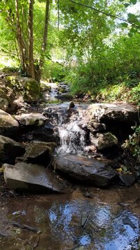Wiesbaden, Hesse, Germany: Small woodland stream flowing over mossy rocks surrounded by lush green vegetation.