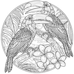 Naklejka premium Two toucans in the jungle in round frame.Coloring book antistress for children and adults.