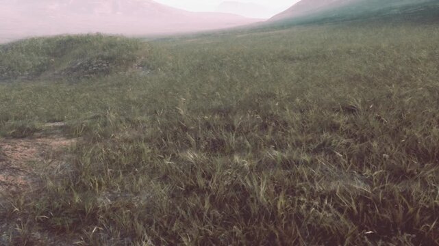 Green grass covers an open area leading to hills and mountains in the distance. The light is soft, suggesting evening time as the scene feels natural and untouched.