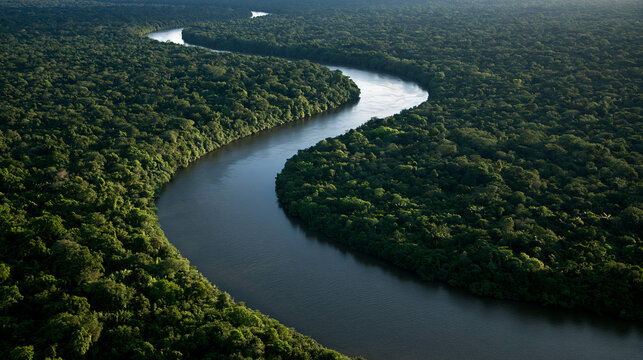 An aerial view of a winding river flowing through a lush tropical rainforest. Use this image for environmental conservation or travel marketing themes.