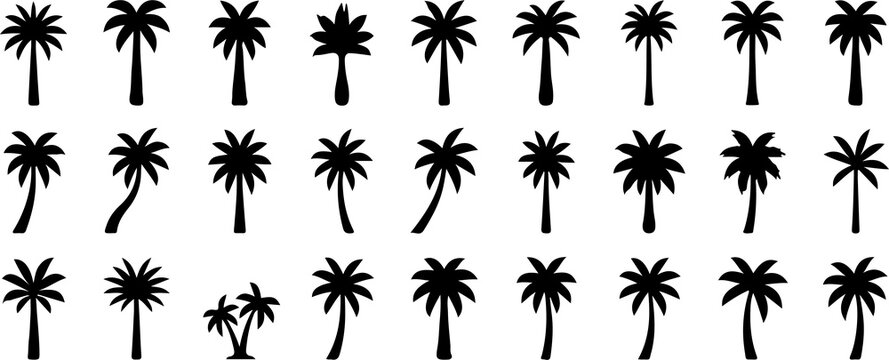 Set of black palm tree silhouettes isolated on white background with silhouette