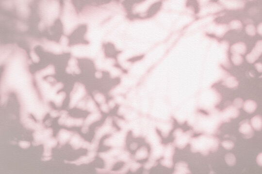 Leaf shadow on wall pink coral  background. Nature tropical leaves tree branch and plant shade.Sunlight from sunshine on wall texture for foliage mockup background wallpaper, shadow overlay effect