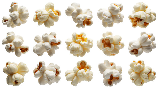 High-resolution photograph of scattered white popcorn kernels isolated on a pure white background for food and snack design