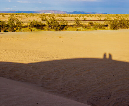 Shadows of Couple Enjoying Sunset on The Golden  Algodones Sand Dunes, Imperial Sand Dunes National Recreation Area, California, USA