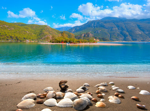 &Ouml;l&uuml;deniz Beach And Blue Lagoon with shell - Oludeniz beach is best beaches in Turkey - Fethiye, Turkey