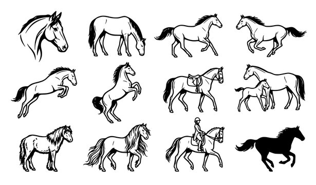 Horses equestrian hand drawn editable layered EPS10 vector icon set