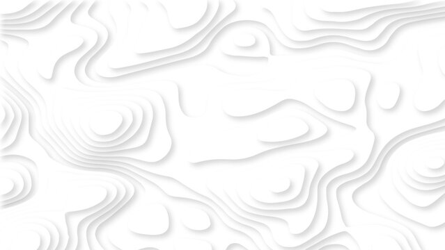 Abstract White Topographic Contour Background with Layered Organic Lines and Soft Shadows. Minimal White Topographic Map Pattern with 3D Contour Lines and Subtle Depth.