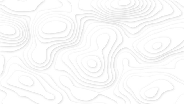 Abstract White Topographic Contour Background with Layered Organic Lines and Soft Shadows. Minimal White Topographic Map Pattern with 3D Contour Lines and Subtle Depth.