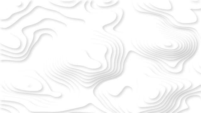 Abstract White Topographic Contour Background with Layered Organic Lines and Soft Shadows. Minimal White Topographic Map Pattern with 3D Contour Lines and Subtle Depth.