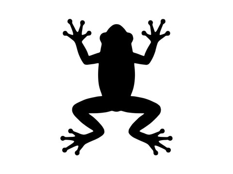 Minimalist black frog silhouette isolated on a white background, high-level vector illustration for nature and wildlife design projects