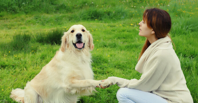Happy owner young woman feeding Golden Retriever dog on the grass together in summer park