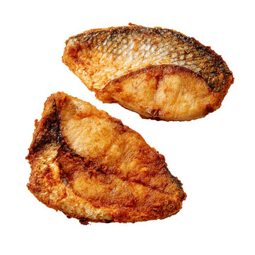 Fried hilsa fish slice isolated on white background ready to serve during a meal time