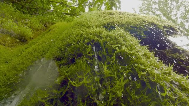 La fuente los cl&oacute;ticos, peque&ntilde;o para&iacute;so escondido de la Comunidad Valenciana