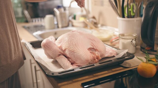 Woman preparing whole raw turkey with salt on baking tray for a festive holiday dinner, showcasing traditional home cooking, poultry preparation and family celebration during Christmas season