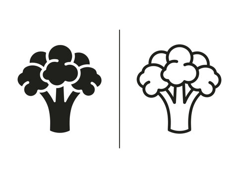 Fresh broccoli vegetable outline and black fill icon set with broccoli vegetable nutrition