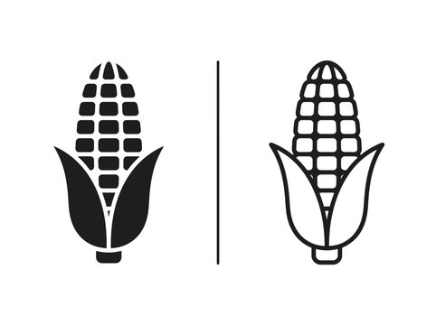 Corn cob agricultural product outline and black fill icon set with vegetable agriculture isolated