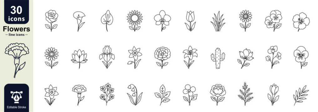 Flowers line editable icon collection. Containing rose, tulip, daisy, sunflower, lotus, lily, orchid, magnolia and more. Editable stroke