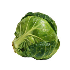 Fototapeta premium Single Brussels sprout placed on a white background showcasing its round shape and green texture in a simple and clear view