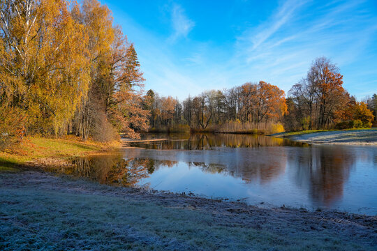 Sunlight illuminates the frost-covered grass and colorful leaves near the water as the quiet park landscape enters a peaceful state during the late autumn