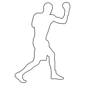 Line Sketch of a Male Boxer.