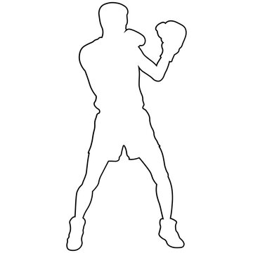 Line Sketch of a Male Boxer.