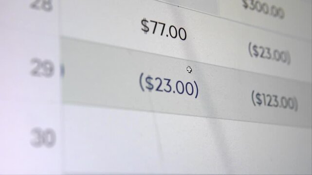 Close-up of scrolling through a budgeting spreadsheet. Worksheet with numbers, dollars, and financial tracking system.