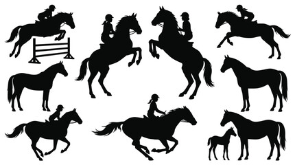 Fototapeta premium Set of horse and rider silhouettes in various poses including jumping, rearing, galloping, and standing