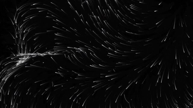 Organic Flowing White Particle Trails Swarm and Abstract Fluid Light Motion Lines on Black Background for Modern VFX Overlay, AI Data Wave, and Sci-Fi Background