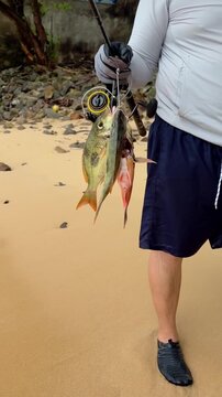 Fisherman holding fresh caught fish on stringer next to fishing rod on ocean beach