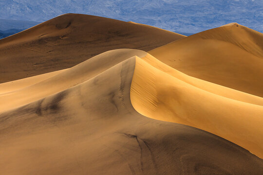 View of the sweeping sand dunes of Death Valley National Park with golden sunlight casting shadows across the rippled sand ridges in Inyo County, California, United States.