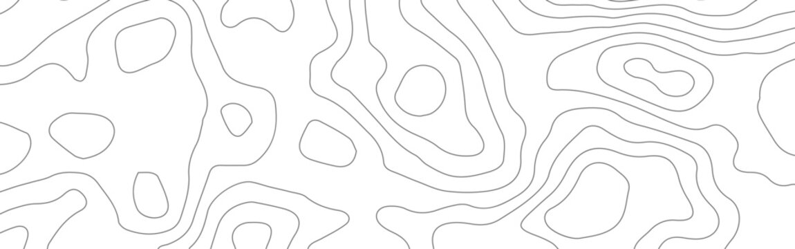 Abstract White Topographic Contour Background with Organic Black Elevation Lines. Abstract Terrain Contour Line Background with Organic Geometric Shapes.
