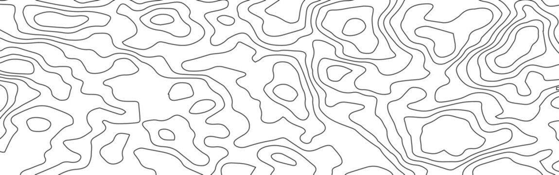 Abstract White Topographic Contour Background with Organic Black Elevation Lines. Abstract Terrain Contour Line Background with Organic Geometric Shapes.