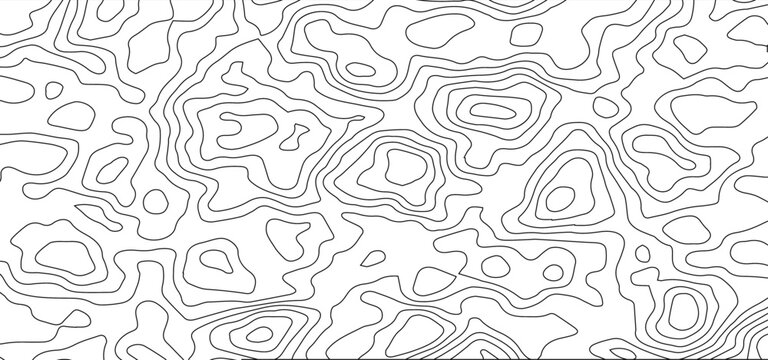 Abstract White Topographic Contour Background with Organic Black Elevation Lines. Abstract Terrain Contour Line Background with Organic Geometric Shapes.
