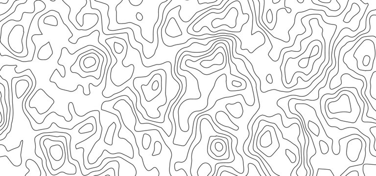 Abstract White Topographic Contour Background with Organic Black Elevation Lines. Abstract Terrain Contour Line Background with Organic Geometric Shapes.