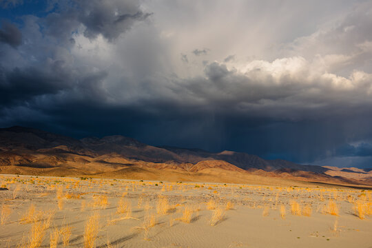 View of Death Valley National Park with dramatic storm clouds gathering over the desert mountains and dry vegetation in the foreground in Inyo County, California, United States.