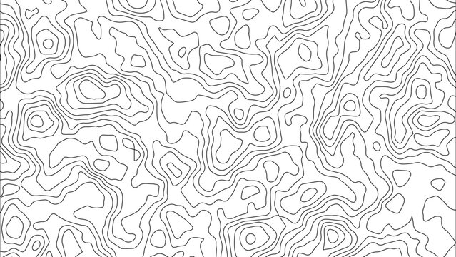 Abstract White Topographic Contour Background with Organic Black Elevation Lines. Abstract Terrain Contour Line Background with Organic Geometric Shapes.