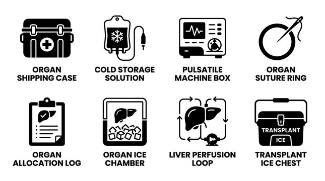 Medical icons illustrating organ shipping and preservation procedures in black and white vectors with shipping solution pulsatile allocation healthcare hospital equipment transplant silhouette