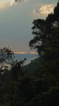 Tropical Trees Frame a Distant Island and Calm Sea Beneath a Glowing Horizon, Scenic Nature View Supporting Travel and Tranquility Vertical video.