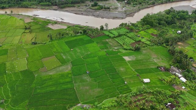 Aerial view of Lio citarik river flowing through lush green rice terraces and agricultural fields in Kecamatan Pelabuhanratu, Jawa Barat, Indonesia.