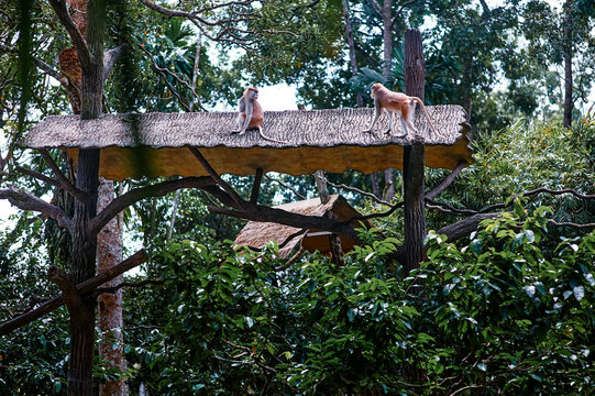 Two monkeys sitting on an elevated structure surrounded by dense forest foliage.