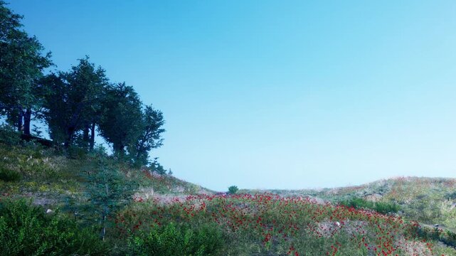 A wide field covered in green grass features scattered red flowers in bloom. Trees line the horizon under a bright blue sky. This scene appears vibrant and full of life.