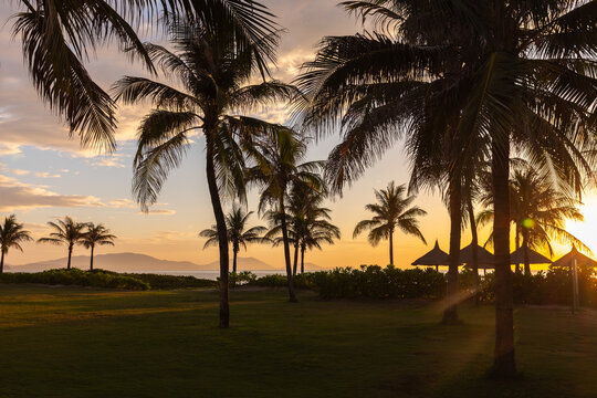 Golden sunset casts warm light across palm trees and thatched beach huts, creating a tranquil tropical resort scene with calm ocean views and a relaxed vacation atmosphere of  Cam Ranh, Vietnam
