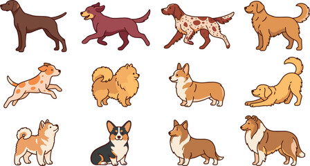 Fototapeta premium Cute Cartoon Dog Breed Character Vector Set Featuring Golden Retriever Corgi Pomeranian Akita and Collie Icons for Pet Care and Kids Graphic Designs