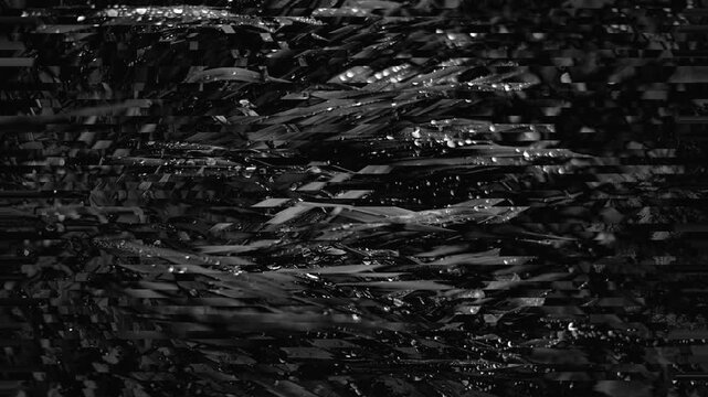 Black and white macro of wet grass blades with water droplets and horizontal glitch displacement effect