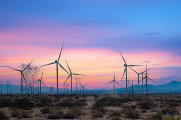Palm Springs Wind Farm © CK