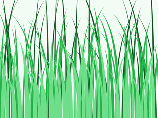 Fototapeta premium Bright Green Grass Blades Summer Vector Background